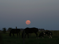 Animación Luna en Tapalqué