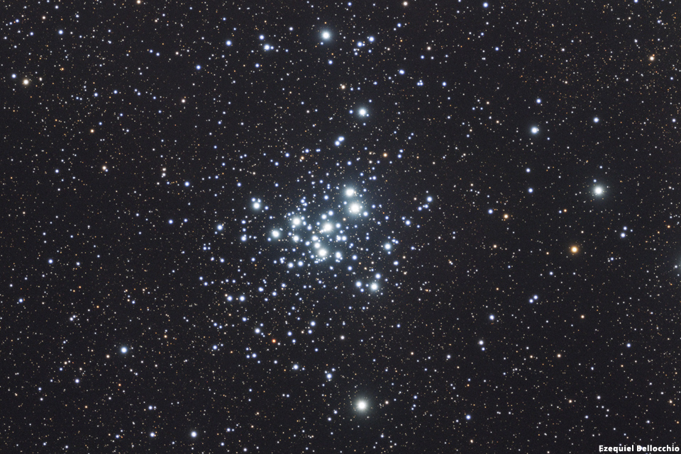 NGC 6231