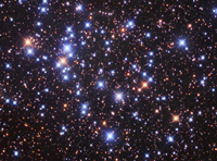 IC 2488