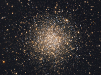 M 55