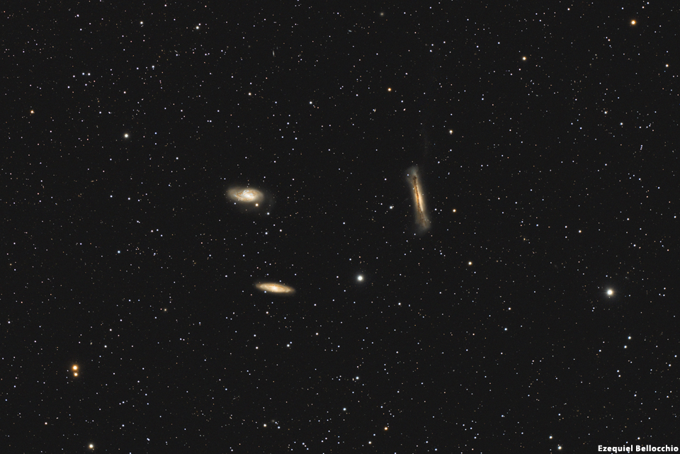 Leo Triplet