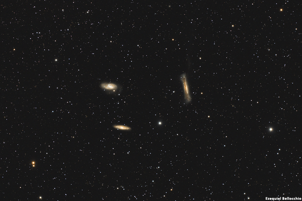 Leo Triplet