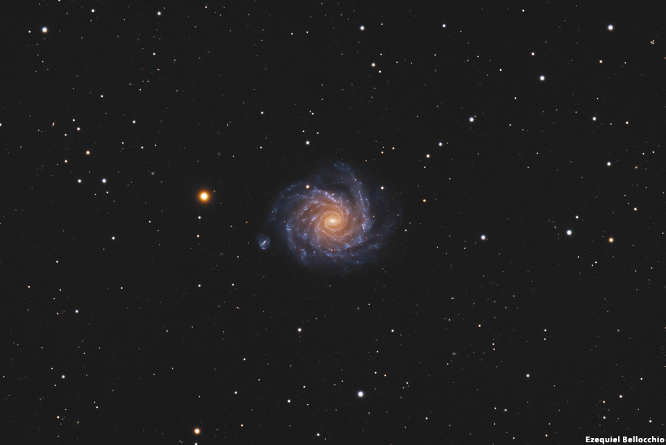 NGC 1232