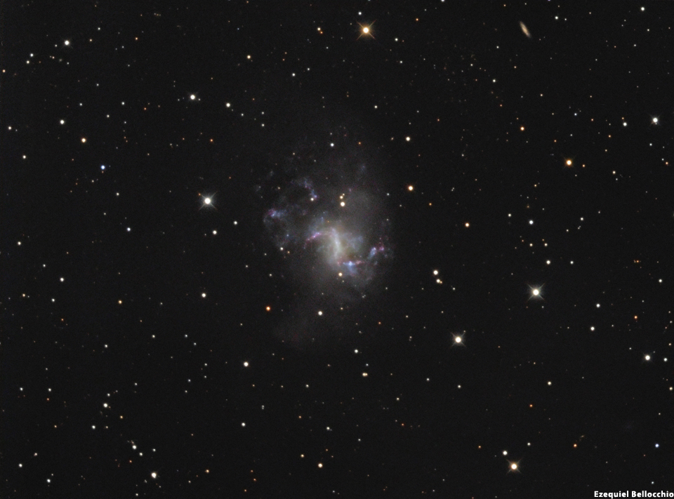 NGC 1313