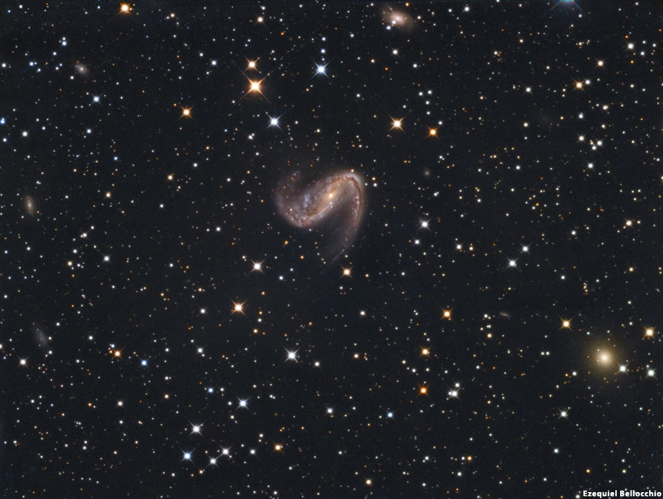 NGC 2442