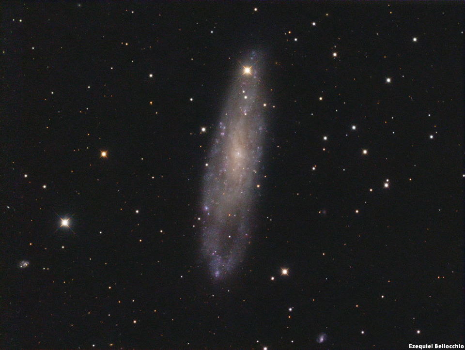 NGC 247