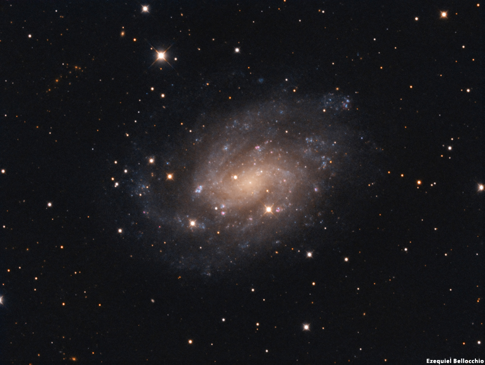 NGC 300