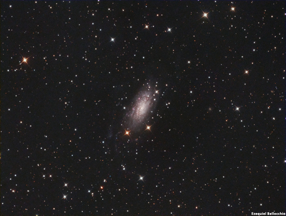 NGC 3621