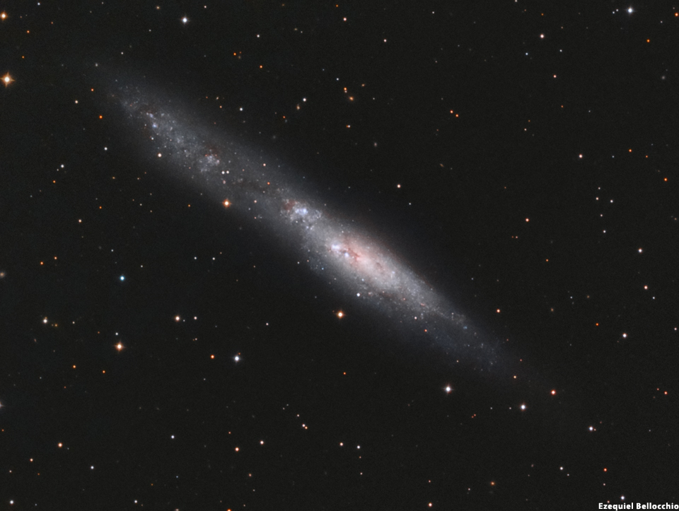 NGC 55