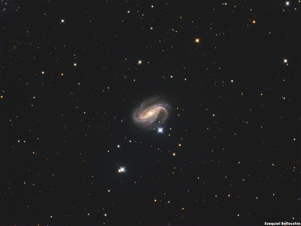 NGC 613