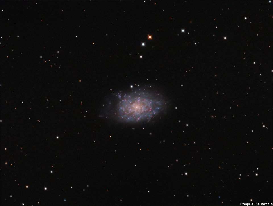 NGC 7793