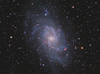 M 33