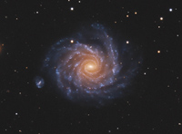 NGC 1232