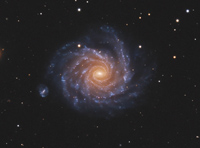 NGC 1232