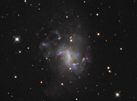 NGC 1313