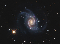 NGC 1566