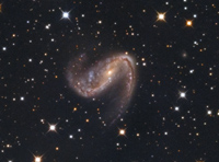 NGC 2442