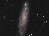 NGC 247