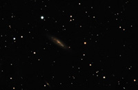 NGC 3175