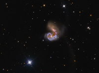 NGC 4038 & 4039