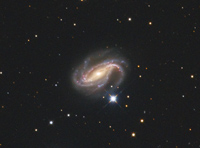 NGC 613