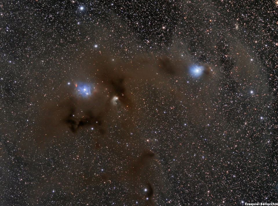 IC 2631 + Cederblad 111