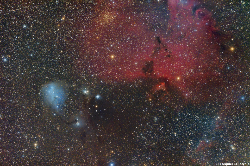 IC 447