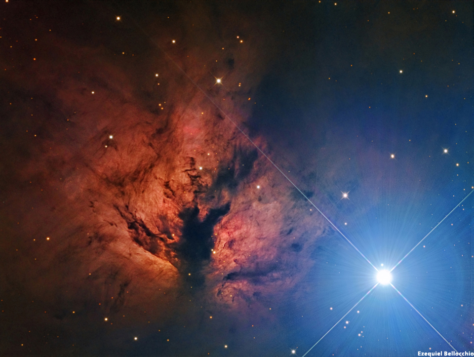 NGC 2024