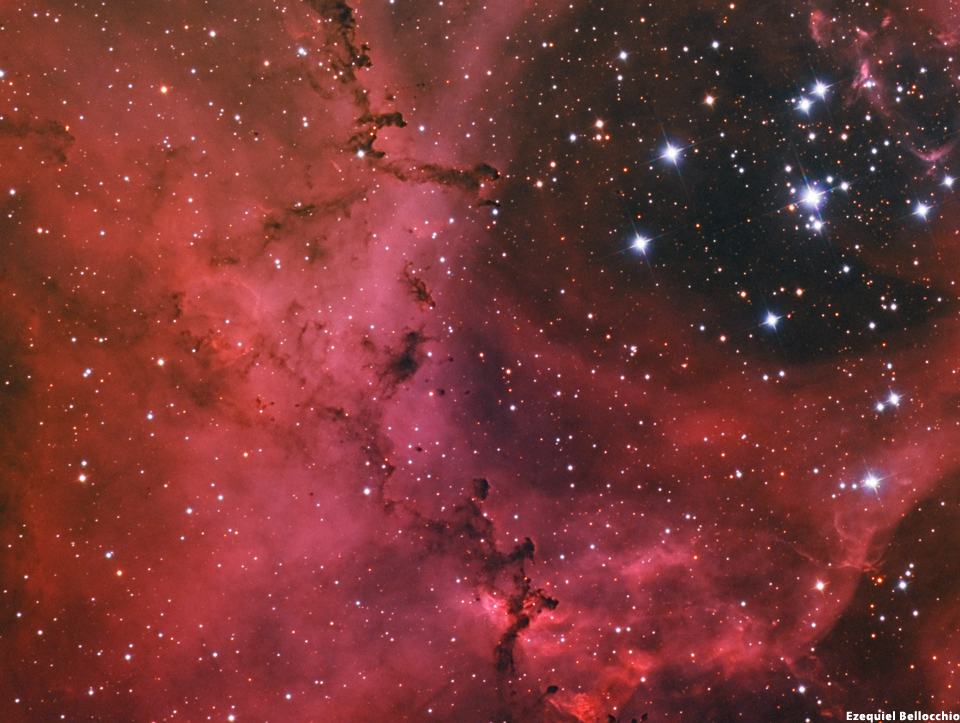 NGC 2237 - Rosette Nebula Close
