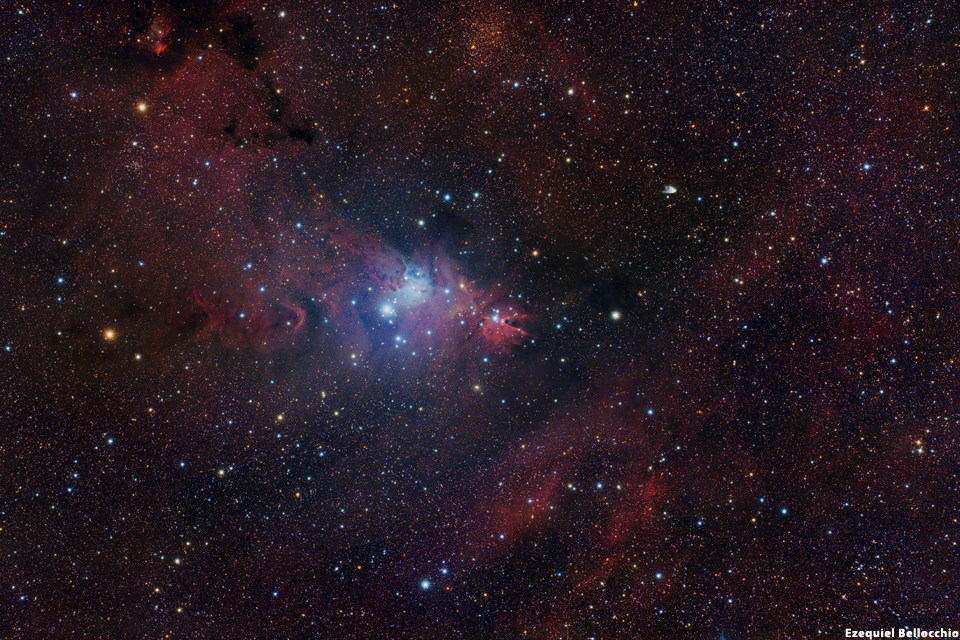 NGC 2264 - Nebulosa del Cono - Arbol de Navidad