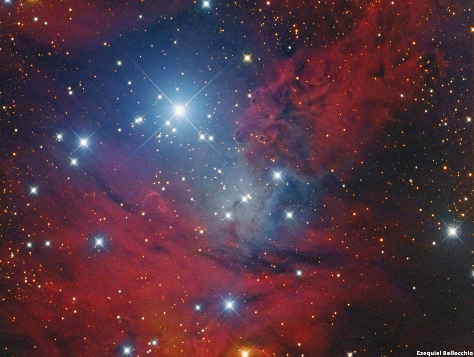 NGC 2264