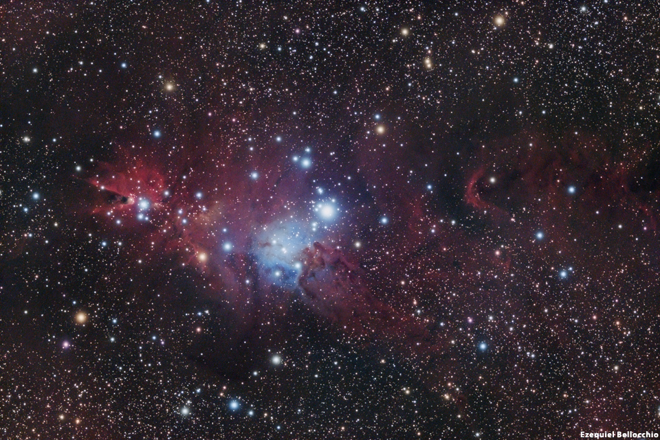 NGC 2264