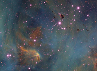 IC 2944