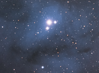 IC 4604