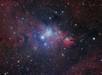 NGC 2264