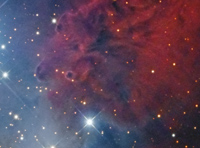 NGC 2264