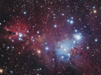 NGC 2264