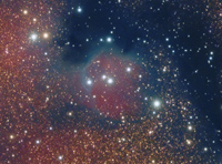 NGC6559